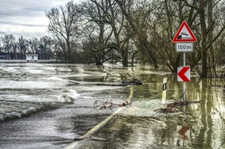 Flooding - Tsuyu Survival Guide