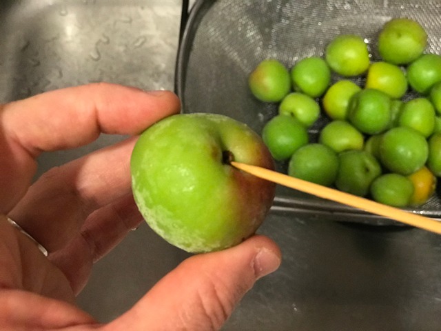 remove the plum stems