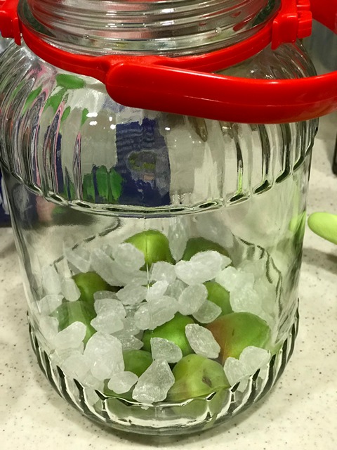 layer the unripened plums and rock sugar in the jar until finished