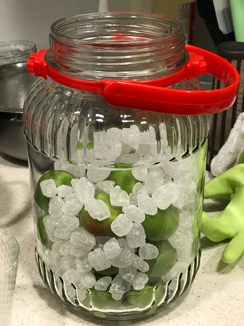 layer the unripened plums and rock sugar in the jar until finished