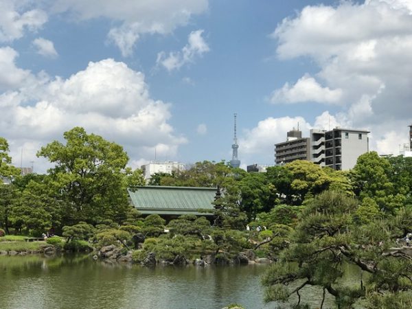 Metropolitan Gardens : 東京都故園, Japanese Culture, The large tea house, islets, trees, and modern apartment building and sky tree at Kiyosumi gardens.