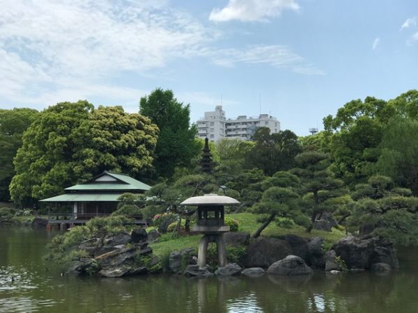 Metropolitan Gardens : 東京都故園, Japanese Culture, Large traditional Japanese lantern made of concrete on an islet, with traditional style Japanese building built over the lake at Kiyosumi gardens, with lush trees in the background and a modern apartment building, and a blue sky with wispy clouds.