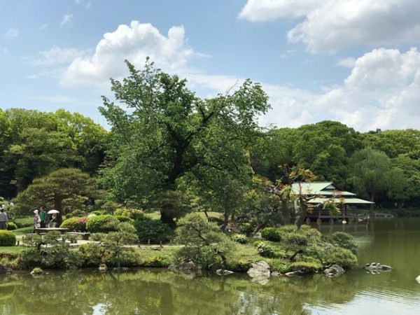 Metropolitan Gardens : 東京都故園, Japanese Culture, An islet in the lake at Kiyosumi garden iwith a large lush green treen in the middle n Koto ward, Tokyo metropolis, Japan.