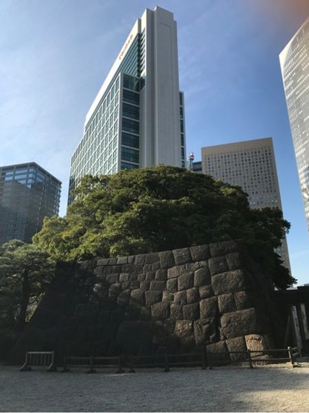 Metropolitan Gardens : 東京都故園, Japanese Culture, Stone escarpment of a Japanese castle bastion, large green trees, modern office buildings in the background