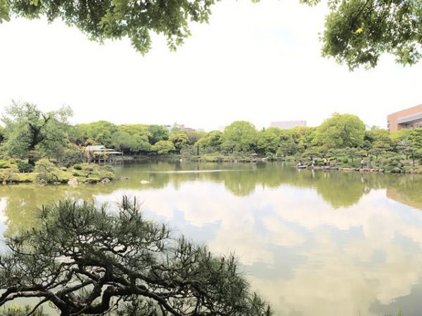 Metropolitan Gardens : 東京都故園, Japanese Culture, Looking across the lake at Kiyosumi gardens reflecting the clouds in the sky.