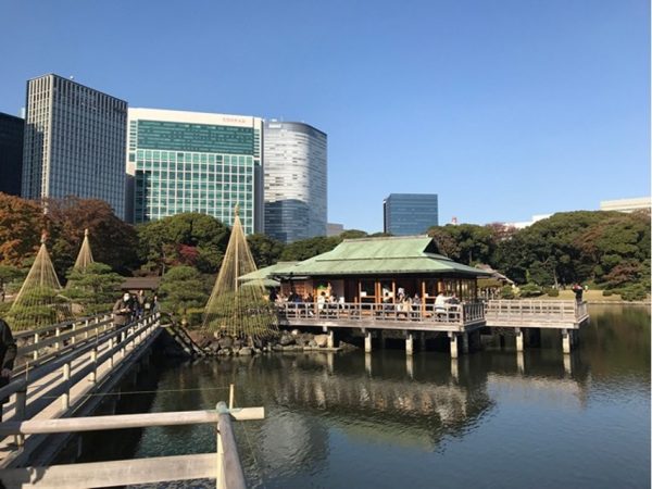 Metropolitan Gardens : 東京都故園, Japanese Culture, Large traditional Japanese tea house over the lake at Hama-rikyu gardens near downtown Tokyo with a wooden walking bridge, sculpted trees, and office buildings in the background.