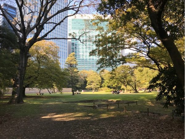 Metropolitan Gardens : 東京都故園, Japanese Culture, Wide open park area with trees and office buildings in the background at Hama-rikyu park near downtown Tokyo.