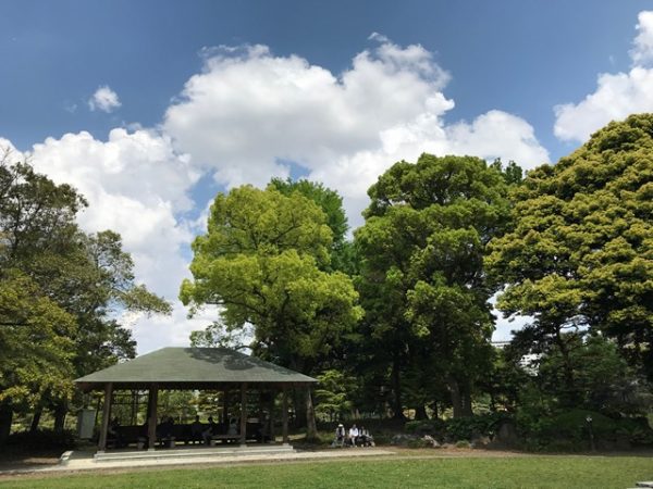 Metropolitan Gardens : 東京都故園, Japanese Culture, Trees, resting house, sky with flux white clouds at Kiyosumi gardens.