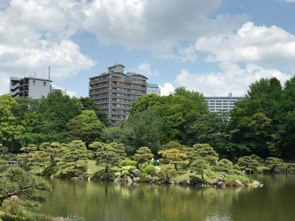 Metropolitan Gardens : 東京都故園, Japanese Culture, Kiyosumi gardens lake, an islet, lush green trees, and modern buildings in the background.