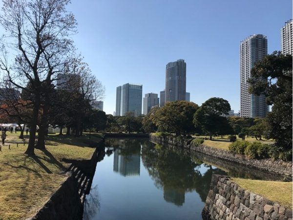 Metropolitan Gardens : 東京都故園, Japanese Culture, Water way and stairs going down for the people to come and go by boat, trees, grassy park, and office towers.