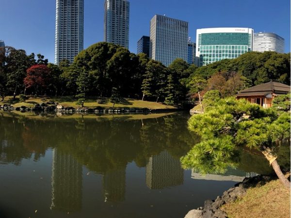 Metropolitan Gardens : 東京都故園, Japanese Culture, Tidal lake, sculpted trees, partial view of the falconer’s house, and office buildings in the background at Hama-rikyu gardens near downtown Tokyo.