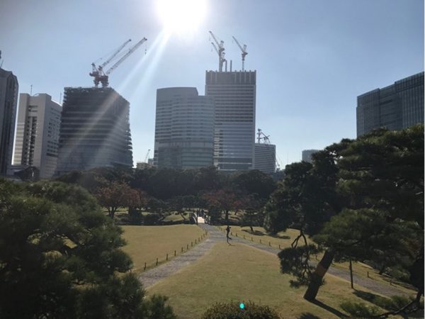 Metropolitan Gardens : 東京都故園, Japanese Culture, Walking paths, the sun modern office buildings under construction, green and trees and a grassy park at Hama-rikyu gardens near downtown Tokyo