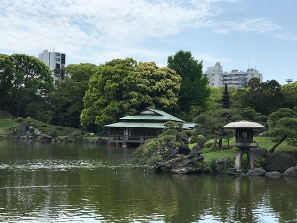 Metropolitan Gardens : 東京都故園, Japanese Culture, Looking across the lake at Kiyosumi gardens lookin at the great tea house and stone lantern with lush trees and modern buildings int he background.