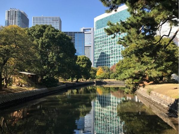 Metropolitan Gardens : 東京都故園, Japanese Culture, Medium sized canal, green trees and trees with autum foliage, and modern office towers.