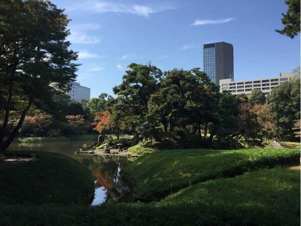 IMetropolitan Gardens : 東京都故園, Japanese Culture, slet in a large pond, green trees and autumn foliage, pond, office buildings in the background