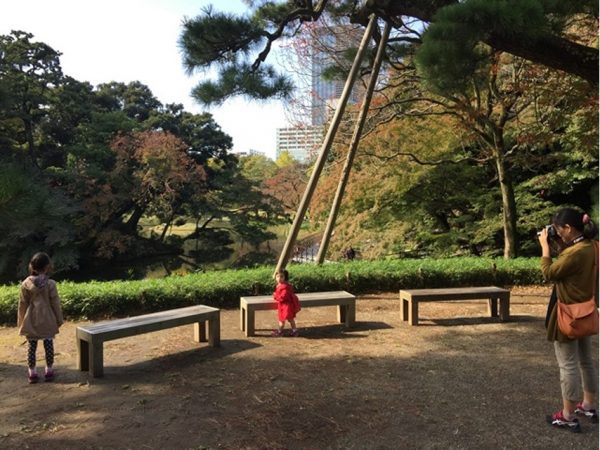 Metropolitan Gardens : 東京都故園, Japanese Culture, Mother taking a picture of her daughters, three benches, a shrub hedge before the pond, trees with autumn foliage all around and office buildings in the background.