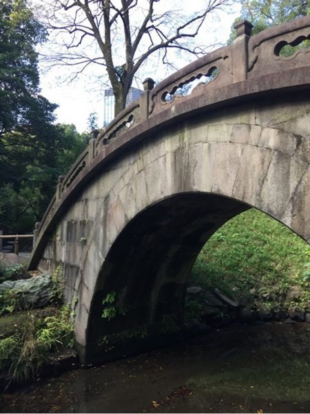 Metropolitan Gardens : 東京都故園, Japanese Culture, Chinese style half-circle stone bridge, a stream, green plants and trees, one tree has lost all of its leaves, and an office tower in the background.