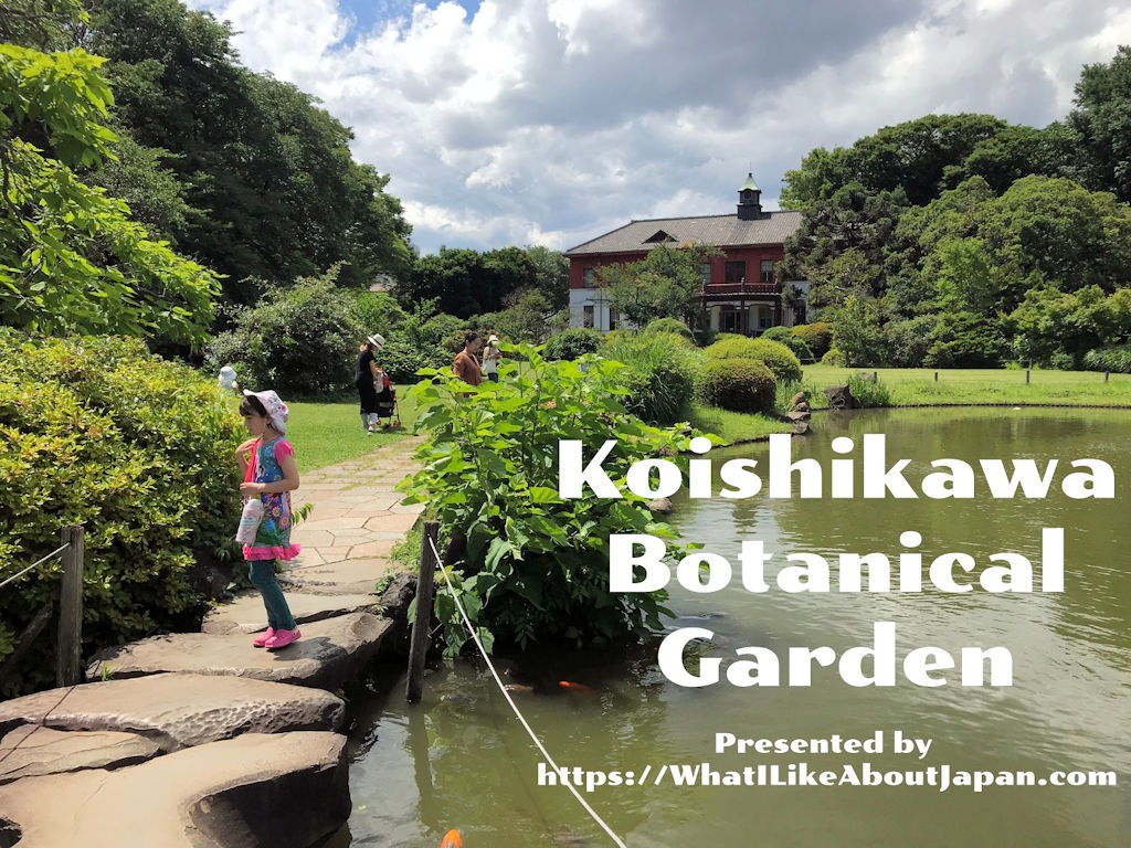 Koishikawa Botanical Gardens