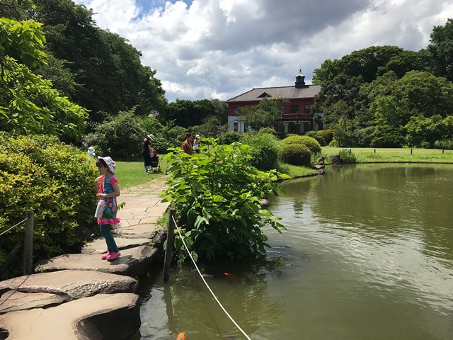 Koishikawa Botanical Gardens 小石川植物園