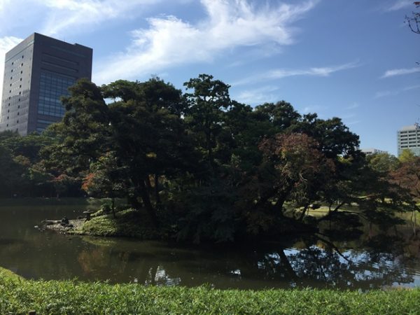 Metropolitan Gardens : 東京都故園, Japanese Culture, Islet with green trees and fall foliage in the great pond at Koishikawa Korakuen gardens with an azure sky and flanked by two office buildings in the background.