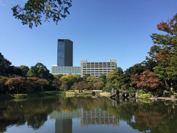 Metropolitan Gardens : 東京都故園, Japanese Culture, Reflection of the autumn trees and office buildings in the background.