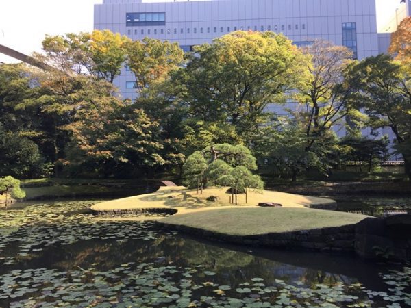 Metropolitan Gardens : 東京都故園, Japanese Culture, Koishikawa Korakuen gardens pond with small lily pads, an islet with trees changing colors for autumn, and an office building in the background.