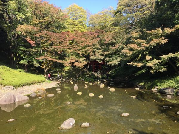 Metropolitan Gardens : 東京都故園, Japanese Culture, Shallow stream coming from the woods with autumn foliage at Koishikawa Korakuen gardens.