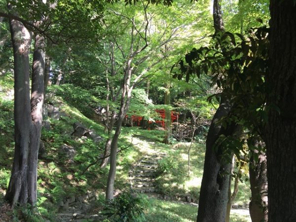 Metropolitan Gardens : 東京都故園, Japanese Culture, Green trees and shrubs on a hillside with a vermillion bridge behind the foliage in Koishikawa Gardens