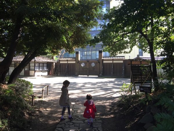 Metropolitan Gardens : 東京都故園, Japanese Culture, Two little girls in fall jackets are looking out at one of the wooden gates from the forest at Koishikawa Korakuen gardens.