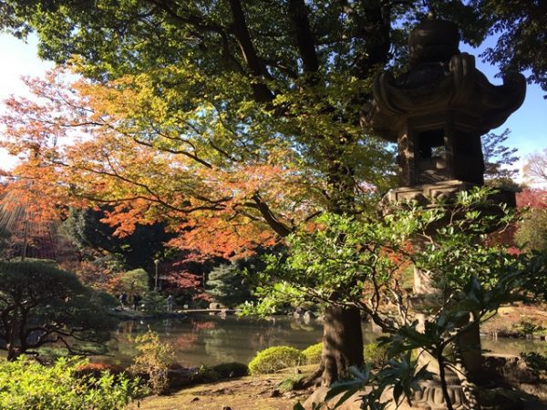 Metropolitan Gardens : 東京都故園, Japanese Culture, Beautiful autumn foliage over a pond at Kyu-Furukawa gardens in Tokyo.