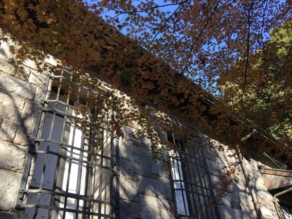 Metropolitan Gardens : 東京都故園, Japanese Culture, Old soap stone building with red maples.
