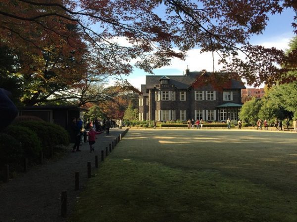 Kyu-Furukawa Gardens 旧古河庭園, Tokyo Metropolitan Gardens, 東京都故園, Japanese Culture, A large open lawn with over hanging red maple tree branches in front of a very large two story grey brick mansion.