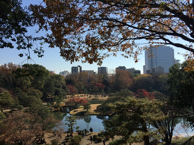 Rikugien Gardens 六義園