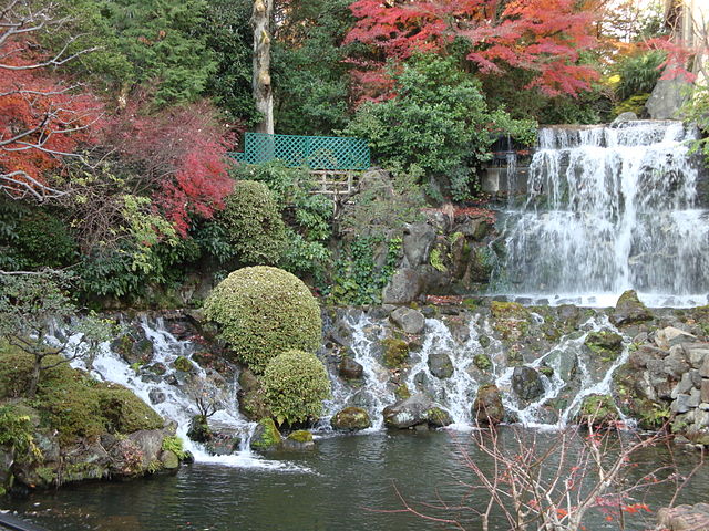 Japanese Culture, Hotel Chinzanso Tokyo ホテル椿山荘東京, Metropolitan Gardens : 東京都故園, Japanese Culture, Waterfall with cascading waterfalls at the base with molded shrubs and momiji, maples with autumn foliage.