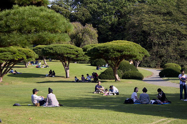 Japanese Culture, Shinjuku Gyoen National Garden, 新宿御苑, Metropolitan Gardens : 東京都故園, Japanese Culture, Various groups of people having picnics in a very large, open and grassy part of Shinjuku Gyoen National Garden.