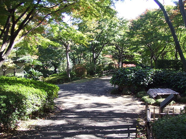 Ikedayama Park 池田山公園 A walking path going through a woods.