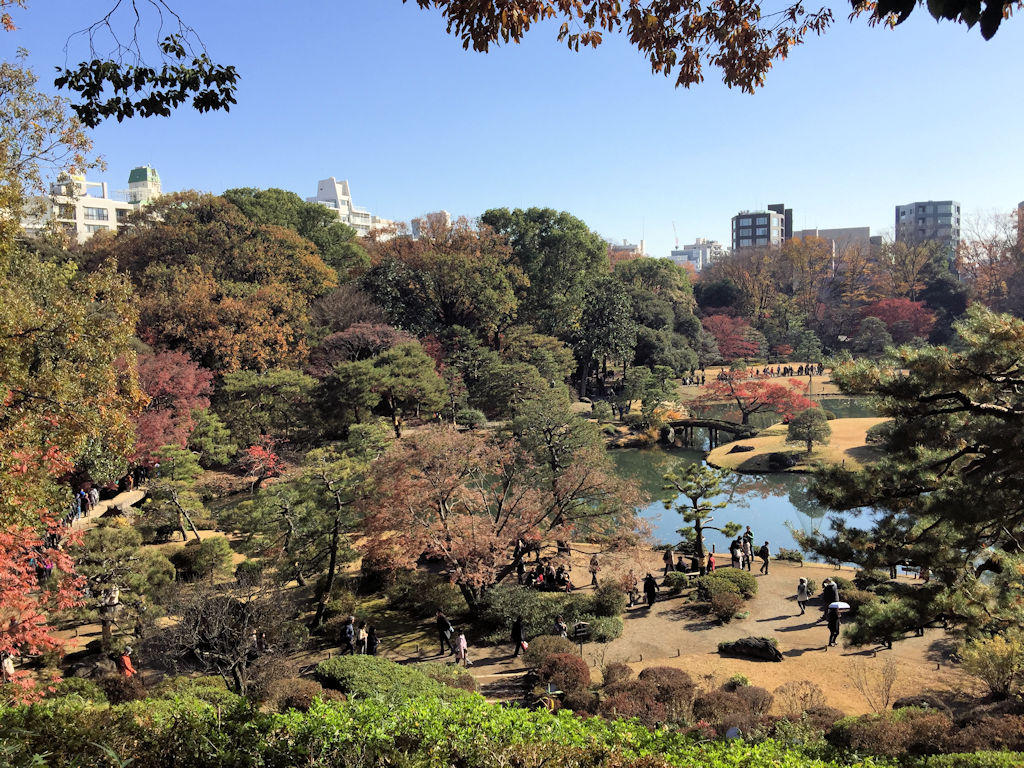 Yakushi-ike Park, Tokyo Metropolitan Gardens, View of autumn trees and large pond with some tall buildings in the background.