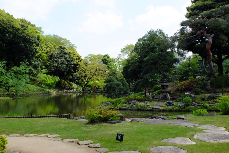 Metropolitan Gardens : 東京都故園, Japanese Culture, Park with a large pond surrounded by trees.