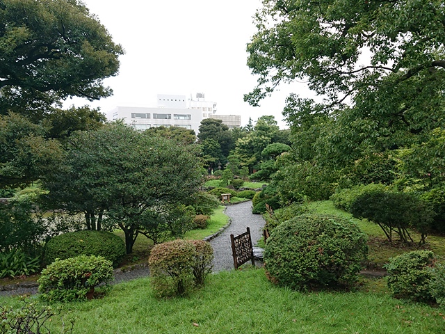 Shrubs, trees, a walking path, and a pond and an office building in the background.