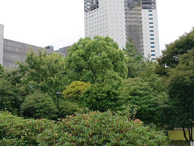 An apartment tower, and modern building in the background with copious and verdant trees and bushes around a pond.