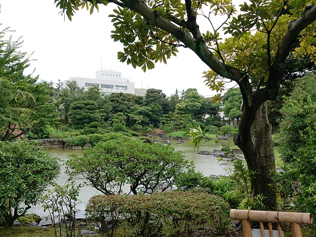 A large tidal pond, many trees and bushes, and an office building in the background at Kyu-Yasuda Garden in Sumida City of Tokyo.