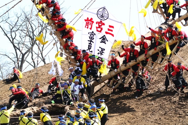 Men riding a log down the mountainside in the Onbashira festival in Nagano.