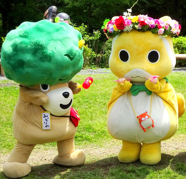 Green Day, Greenery Day, Japanese Culture, Japan in May, May in Japan, Golden Week, Two super cute O-bake mascots in a green lawn representing care for the parks and gardens in Japan.