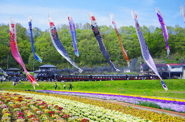 Children's Day, Japan in May, Japanese Culture, Boy's Day, Iris Festival, Carp streamers on full display during Children’s Day.