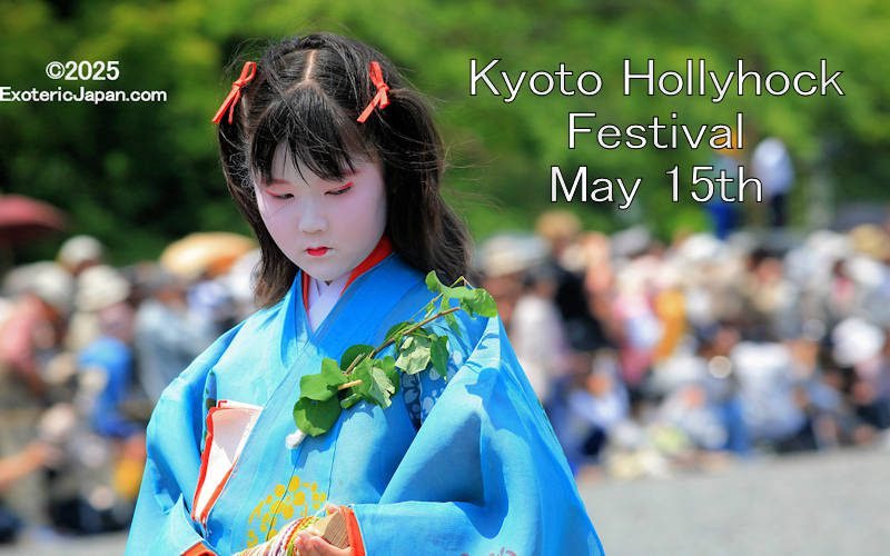 Exoteric Japan, Japanese Culture, Japanese Cultral Calendar, Girl in traditional Japanese blue kimono at the Kyoto Hollyhock Festival