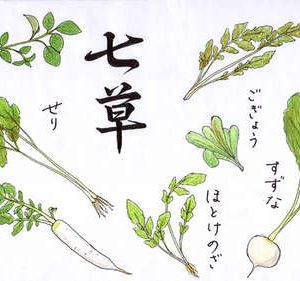 The seven herbs of good healthy to be eaten on January 7th, Person’s Day or 人日の節句