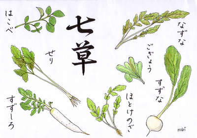 The seven herbs of good healthy to be eaten on January 7th, Person’s Day or 人日の節句