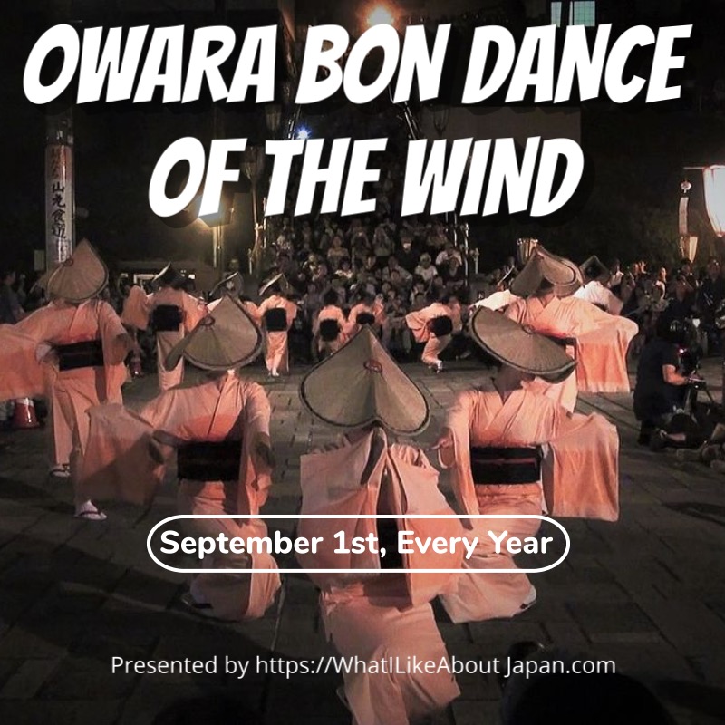 September in Japan, Owara Bon dancers perform in front of steps full of onlookers at night wearing pink kimonos.