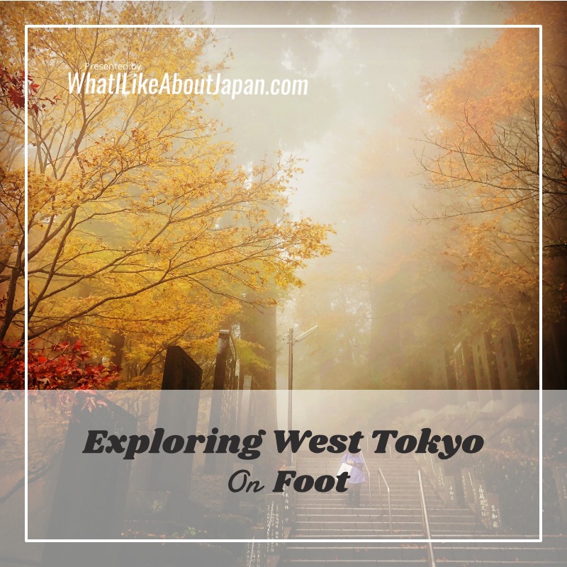 Japanese Culture, Exploring West Tokyo, A person walking up a staircase at a mountain monastery with beautiful yellow autumn leaves.