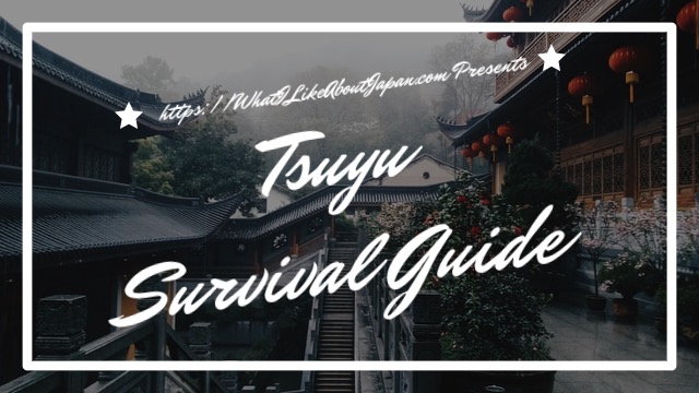 Japanese Culture, Tsuyu Survival Guide, 梅雨サバイバルガイド ,The Japanese Rainy Season, June in Japan, July in Japan, A rainy day some where in Japan. Tsuyu Survival Guide